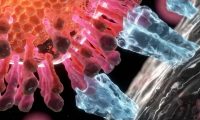 細胞生物科研動畫：三維醫(yī)學動畫制作、醫(yī)學動畫視頻制作