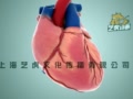 上海醫(yī)學(xué)動(dòng)畫(huà)展示10秒心臟跳動(dòng)手術(shù)視頻：三維演示動(dòng)畫(huà)制作
